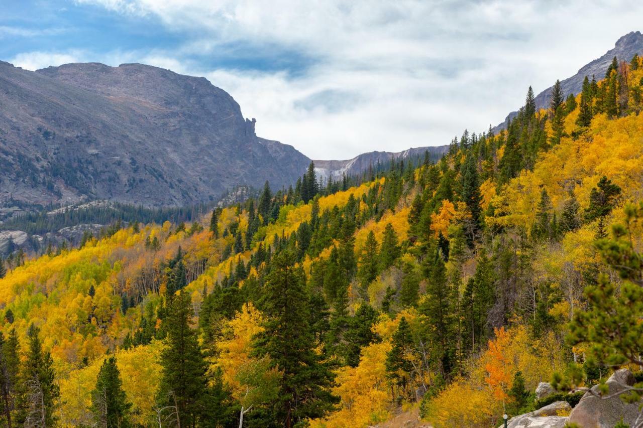 Апартаменты Quiet In The Pines - Permit #3120 Эстес Парк Экстерьер фото